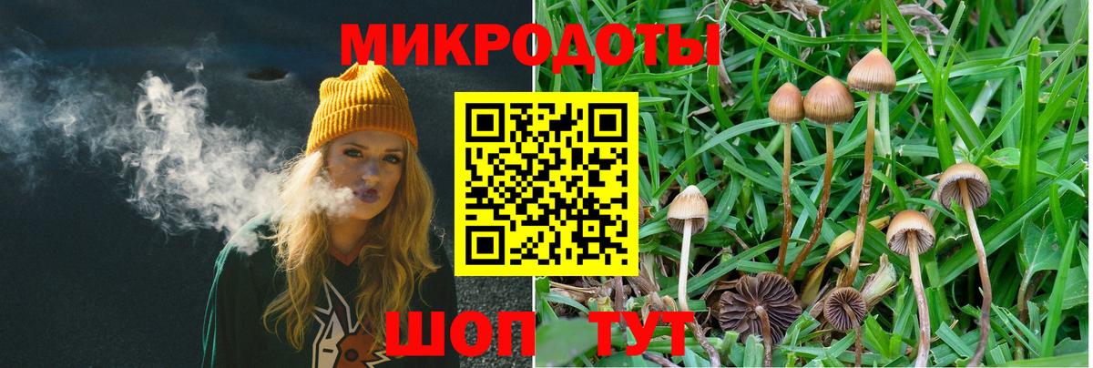 Жуковский  Галлюциногенные грибы мухоморы  купить наркоту  Вход с VPN  Псилоцибиновые грибы MAGIC MUSHROOMS 